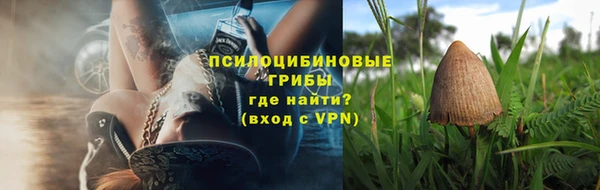 шишки Корсаков