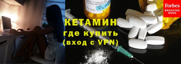 шишки Коряжма