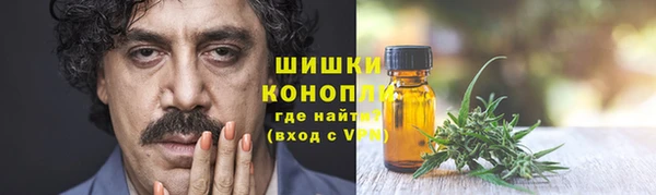 шишки Коряжма