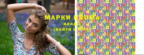 шишки Коряжма