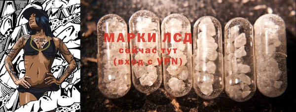 шишки Коряжма