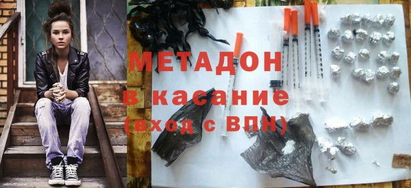 шишки Коряжма