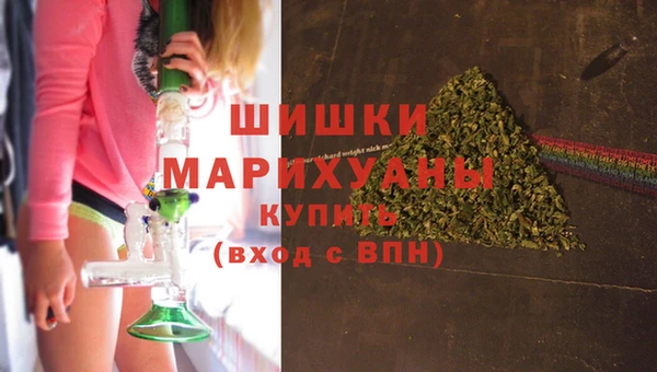 шишки Корсаков