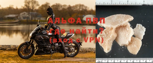 шишки Коряжма