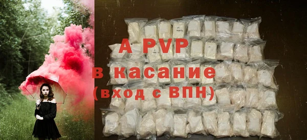 шишки Корсаков