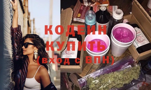 шишки Корсаков
